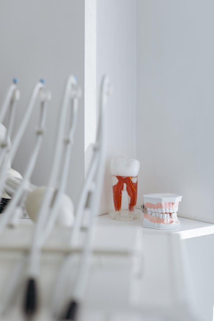 Home Close-up of dental tools and anatomical models in a well-lit clinic, highlighting oral hygiene and dentistry concepts.